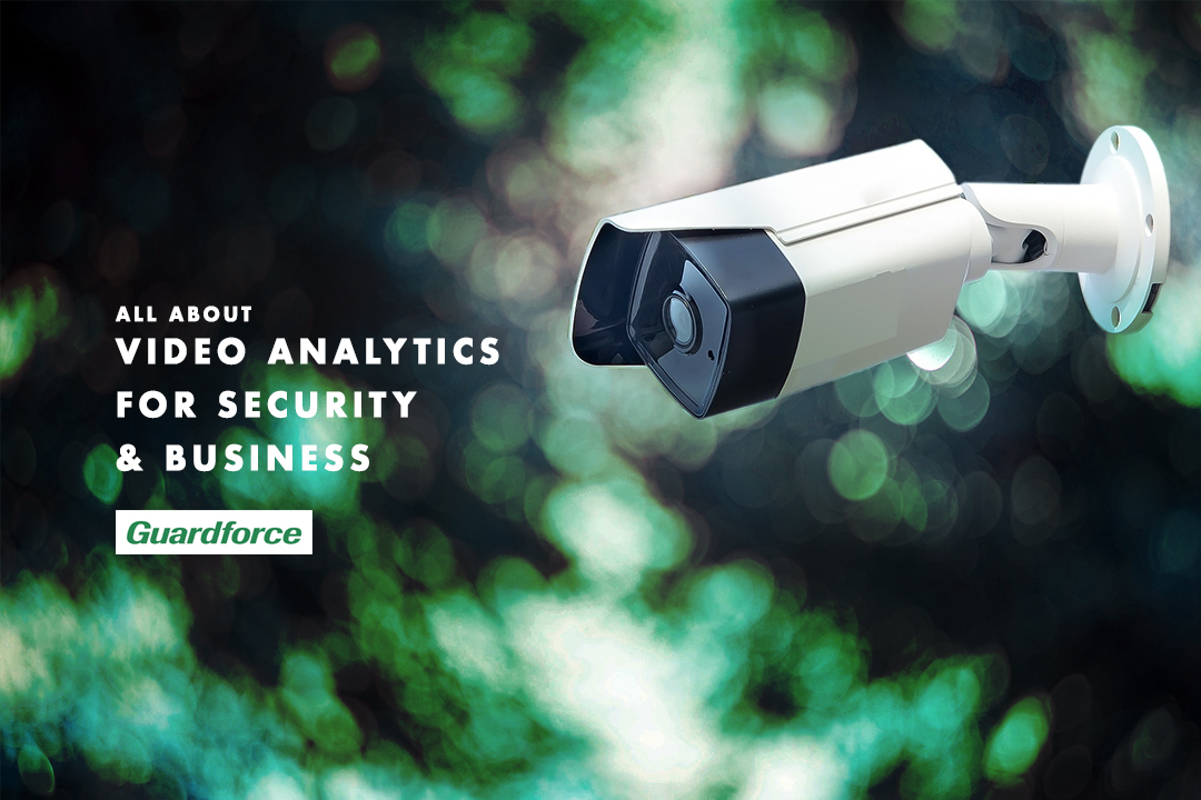 SentinelGuard Solutions
 video analytics